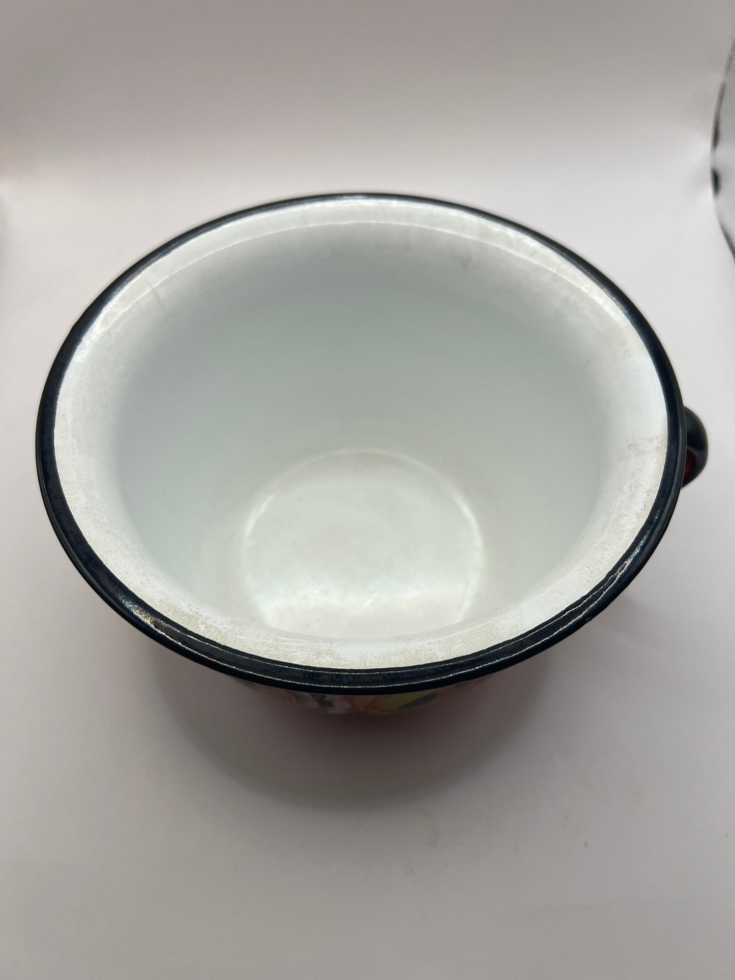 Polish enamelware chamber pot planter.