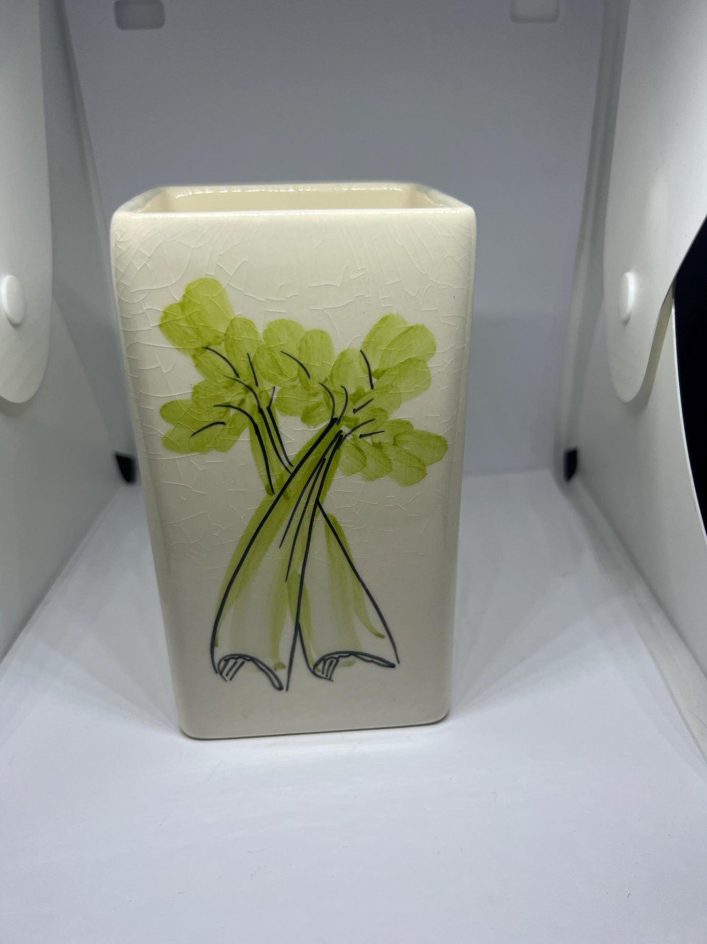 Retro Celery kitchen storage container. 1970s Toni Raymond celery holder.