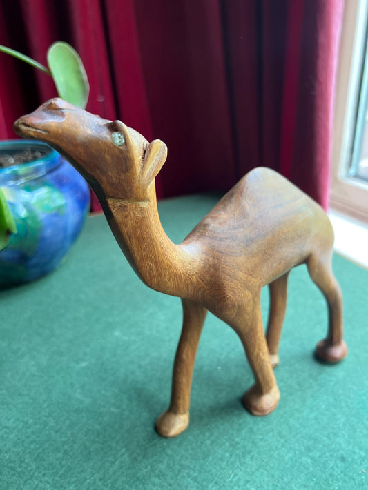 Teak glass eyed dromedary camel statue. MCM wooden home decor.