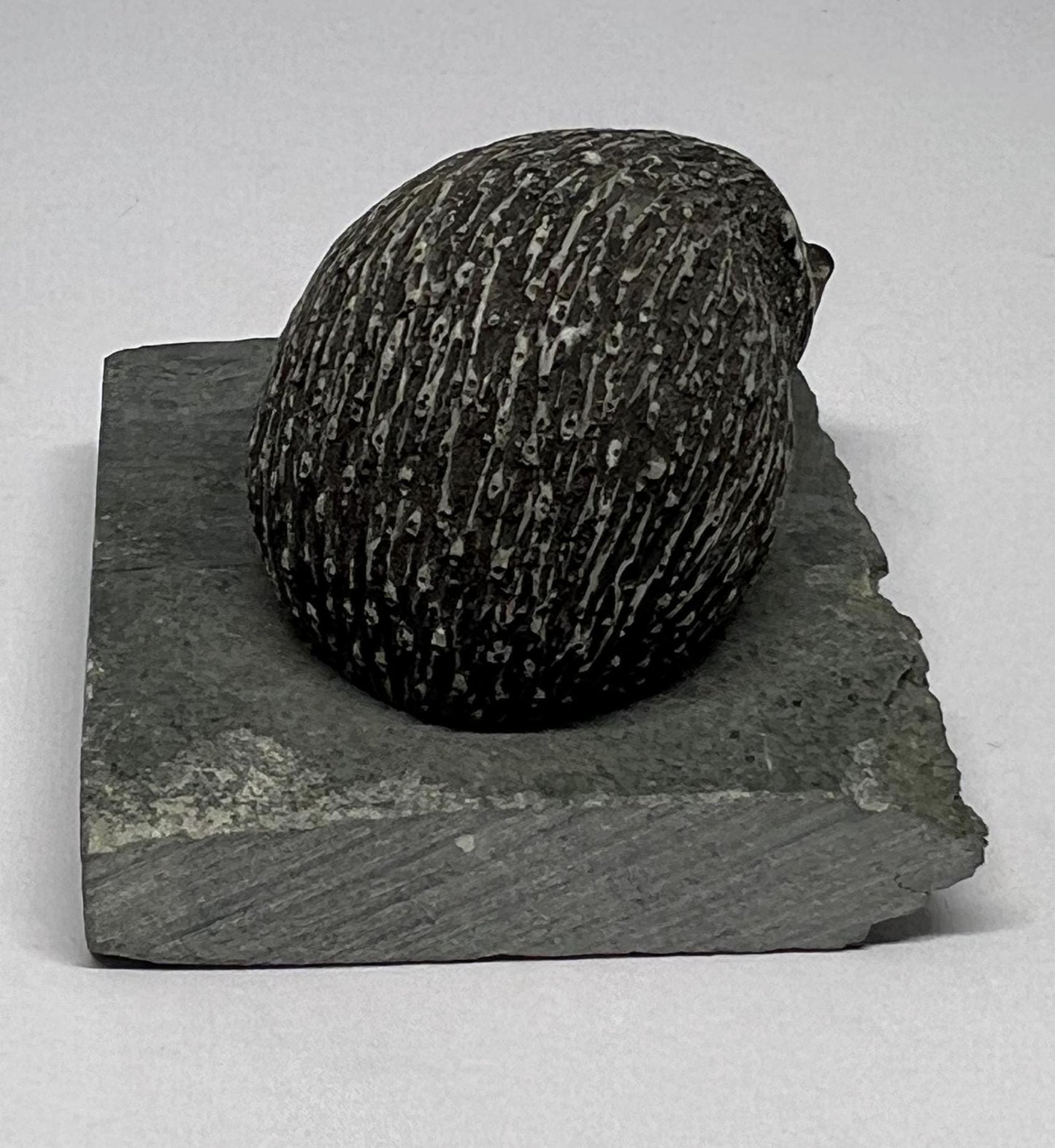 Sculpted hedgehog figurine on a slate base.